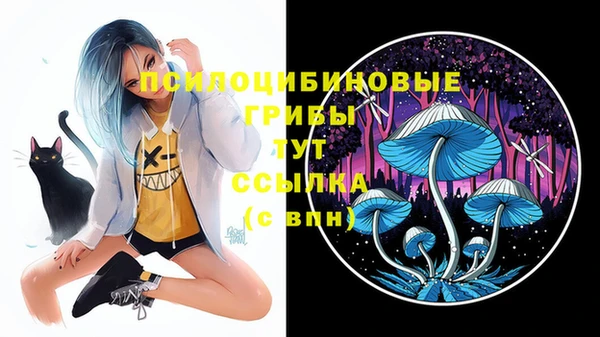 стаф Алексин