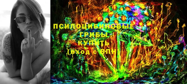 стаф Алексин
