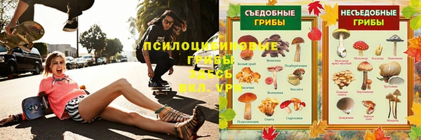 стаф Алексин