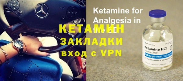 стаф Алексин