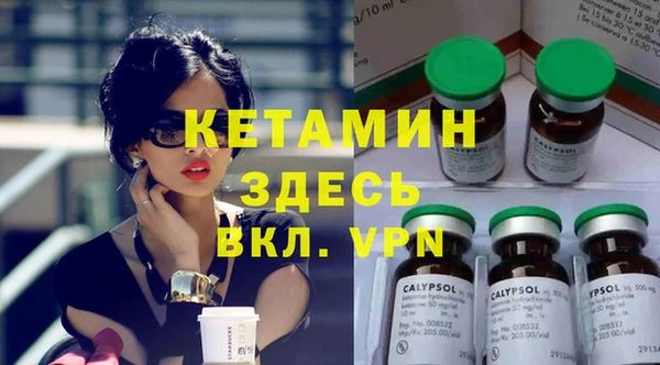 стаф Алексин