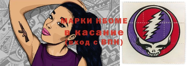 стаф Алексин