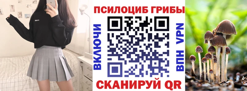 Псилоцибиновые грибы Psilocybine cubensis  закладки  Яровое 